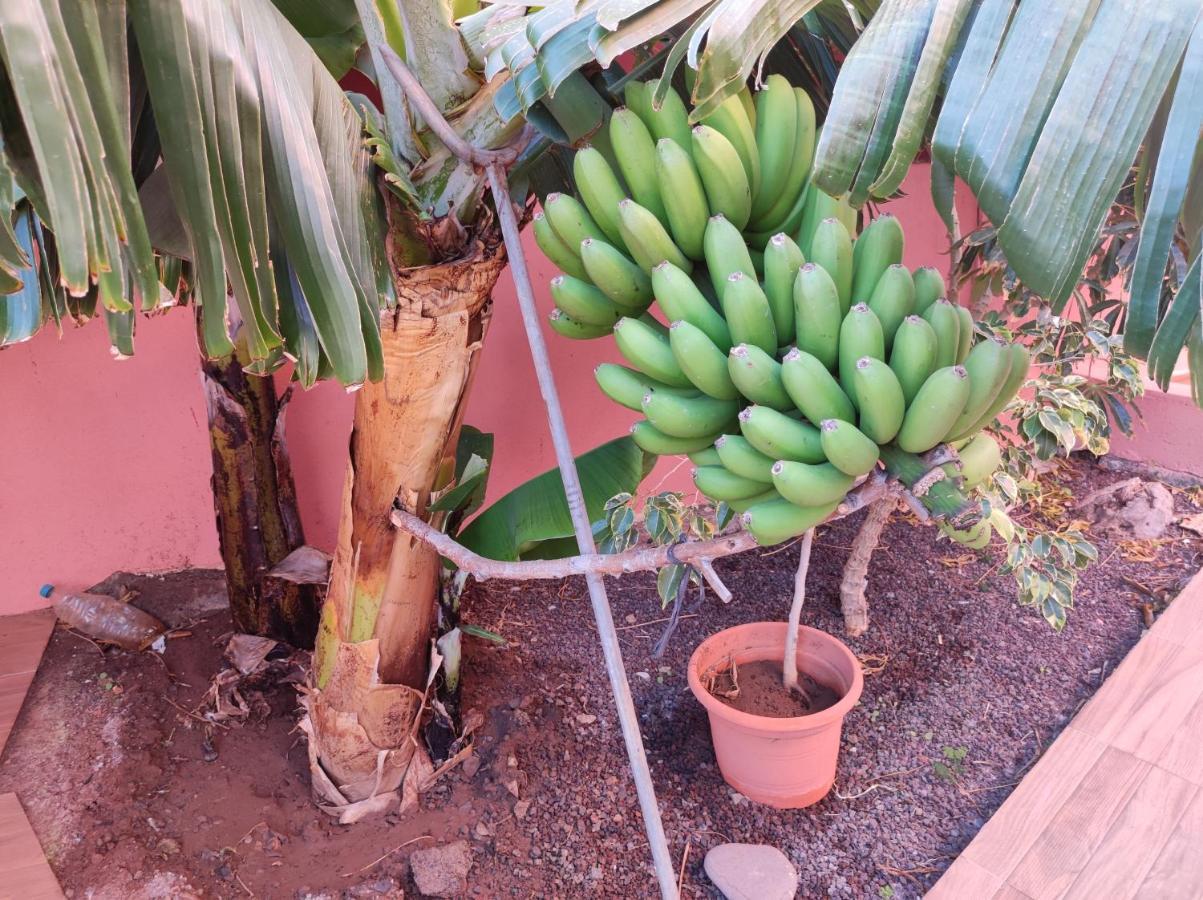 Casita La Gomera San Sebastián de la Gomera Exteriör bild